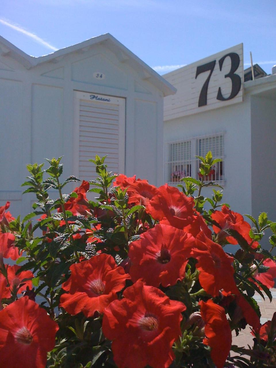 Hotel Villa Platani Riccione Zewnętrze zdjęcie